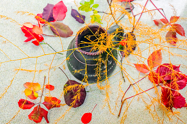 포토 JPG 해외이미지 디자인 꽃 종이 잎 크리스마스 지도 꽃무늬 패턴 일러스트 자연 벽지 추상 미술 사람없음 장식 빨간색 컬러풀 수확 질감 복고 모자이크 그런지 옛날 해외포토 식물 기념일 컬러 무늬 농업 문화예술 생태계 파일형식 이미지허브