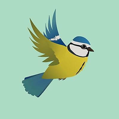 EPS 해외이미지 동물 디자인 실루엣 야생동물 백그라운드 일러스트 자연 조류 미술 그래픽 파란색 노란색 봄 자유 흰색 만화 심볼 깃털 사인 그림 꼬리 부리 고립 해외일러스트 계절 컬러 컨셉 문화예술 촬영기법 생태계 파일형식 벡터 이미지허브