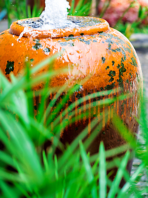 포토 JPG 해외이미지 식물 디자인 공원 백그라운드 잎 우산 건축양식 자연 휴식 사람없음 야외 장식 초록색 물 빛 컬러풀 정원 신선 항아리 분수 질감 내추럴 파피루스 해외포토 자연요소 공공시설 건축 컬러 컨셉 도자기 생태계 파일형식 이미지허브
