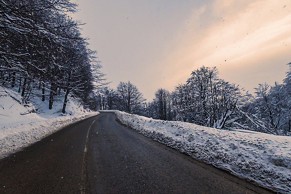 포토 JPG 해외이미지 나무 도로 겨울 자연 하늘 사람없음 야외 눈 가로수 해외포토 자연요소 식물 계절 길 교통시설 날씨 생태계 파일형식 이미지허브