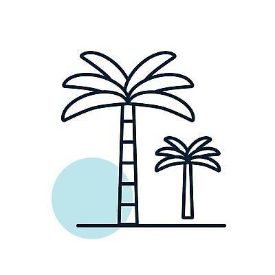 EPS 해외이미지 나무 디자인 실루엣 모래 바다 섬 여행 잎 일러스트 휴가 손바닥 풍경 야외 여름 태양 심볼 사인 휴양지 하와이 코코넛 내추럴 고립 이국적 파라다이스 해외일러스트 자연요소 식물 손 계절 과일 촬영기법 미국 장소 파일형식 벡터 이미지허브