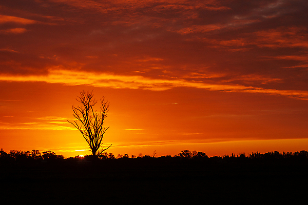 포토 JPG 해외이미지 실루엣 종교 한명 야외 여름 황금 땅 썩음 오지 해외포토 1 계절 촬영기법 사람 파일형식 이미지허브