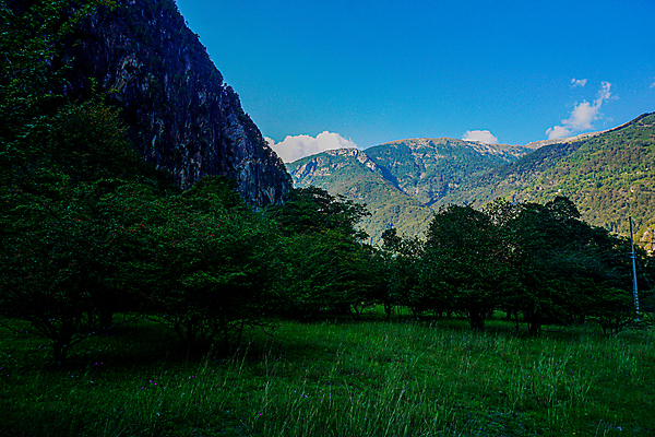 포토 JPG 해외이미지 나무 전통 유럽 여행 잎 밭 과일 자연 휴가 산 파노라마 풍경 사람없음 초록색 여름 관광지 마을 계곡 이탈리아 산책 하이킹 숲 과수원 발굴 스위스 알프스 해외포토 식물 계절 나라 컬러 농업 레저 휴식 촬영기법 생태계 파일형식 이미지허브