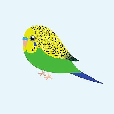 EPS 해외이미지 동물 디자인 남자 야생동물 날개 일러스트 자연 조류 초록색 반려동물 컬러풀 노란색 흰색 만화 깃털 부리 앵무새 고립 동물상 잉꼬 해외일러스트 컬러 사람 조형물 생태계 파일형식 벡터 이미지허브