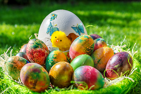 포토 JPG 해외이미지 전통 계절 꽃 행복 문화 분홍색 백그라운드 꽃무늬 자연 아침 휴가 부활절 사람없음 야외 장식 가로 초록색 빛 컬러풀 노란색 쌓기 바구니 우주 정원 계란 맑음 축제 봄 흰색 축하 신용카드 4월 심볼 지역 광택 수선화 숨김 내추럴 핸드메이드 해외포토 주간 식물 기념일 감정 컬러 컨셉 무늬 모션 날씨 금융 알 날짜 생태계 파일형식 이미지허브