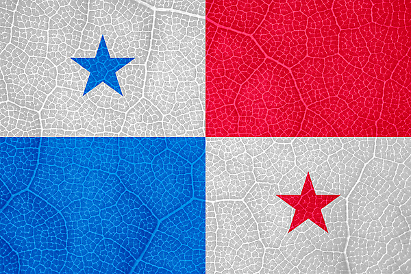 포토 JPG 해외이미지 나무 식물 선 백그라운드 잎 곡선 자연 바람 추상 세포 사람없음 가로 황혼 경쟁 자유 성장 깃발 액체 닫기 떨어짐 민주주의 대륙 질감 부드러움 시트 애국심 빛망울 강렬 광 독립 전국 정부 해외포토 자연요소 컨셉 무늬 모션 날씨 빛 일몰 감각 생태계 파일형식 이미지허브