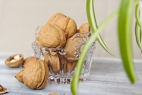 포토 JPG 해외이미지 잎 단면 건조 사람없음 껍질 낟알 알맹이 나무바닥 호두 유리그릇 해외포토 식물 그릇 유리 바닥 견과류 파일형식 이미지허브