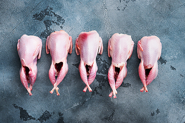 포토 JPG 해외이미지 식재료 회색배경 실내 생고기 육류 사람없음 하이앵글 일렬 메추리 해외포토 뷰포인트 백그라운드 내부 회색 파일형식 이미지허브