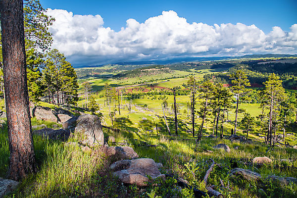 포토 JPG 해외이미지 나무 식물 계절 유럽 여행 밭 자연 하늘 영국 잉글랜드 산 파노라마 사람없음 야외 초록색 물 파란색 강 컬러풀 햇빛 환경 계곡 봄 농촌 숲 오솔길 땅 언덕 조경 산봉우리 삼림지대 산맥 해외포토 자연요소 나라 길 컬러 농업 촬영기법 태양 시골 생태계 봉우리 파일형식 이미지허브