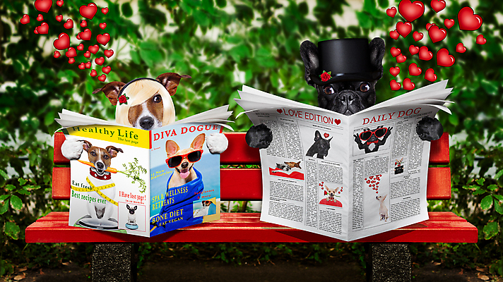 포토 JPG 해외이미지 동물 커플 공원 행복 종이 결혼 벤치 의자 텍스트 결혼식 휴가 발렌타인데이 사랑 앉기 사람없음 반려동물 장미 봄 우정 신혼여행 하트 날짜 유머 신문 개 잡지 테리어 읽기 문학 페이지 불독 프랑스어 충실 해외포토 모양 문자 계절 공공시설 꽃 감정 가구 포유류 관계 모션 데이이벤트 이벤트 간행물 친구 뉴스 파일형식 이미지허브