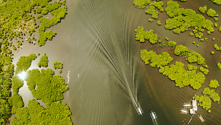 포토 JPG 해외이미지 나무 식물 아시아 야생동물 바다 섬 여행 백그라운드 잎 자연 휴가 사람없음 야외 목재 초록색 물 강 뷰티 환경 침묵 나뭇가지 보트 황무지 보호 숲 열대우림 생태계 뿌리 내추럴 조감도 해외포토 자연요소 동물 나라 컬러 컨셉 배_교통 재료 소리 파일형식 이미지허브