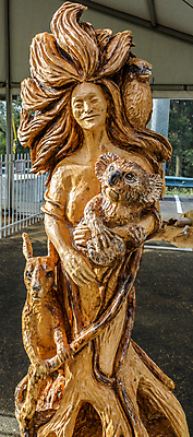 포토 JPG 해외이미지 모양 나무 디자인 조각 백그라운드 컨셉 패턴 자연 표면 추상 미술 사람없음 야외 목재 장식 초록색 갈색 환경 정원 수확 호주 심볼 사인 질감 복고 나무껍질 목각 내추럴 옛날 흉터 해외포토 식물 컬러 무늬 농업 재료 문화예술 껍질 오세아니아 상처 생태계 파일형식 이미지허브