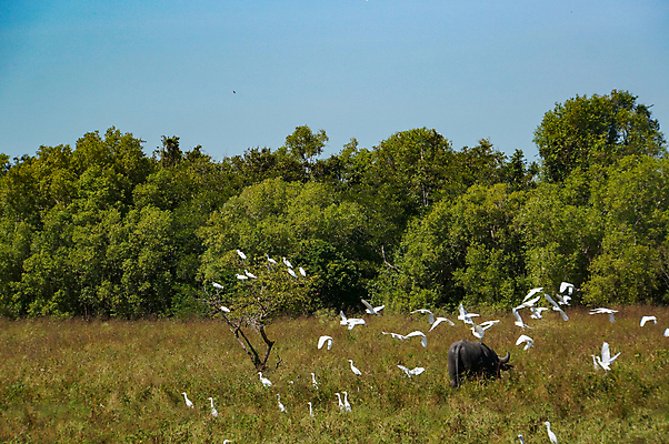 포토 JPG 해외이미지 식물 공원 파노라마 사람없음 침묵 동물상 전국 해외포토 공공시설 촬영기법 조형물 소리 파일형식 이미지허브