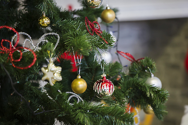 포토 JPG 해외이미지 나무 디자인 백그라운드 크리스마스장식 겨울 패턴 공 유리 휴가 새로움 새해 선물 사람없음 장식 빨간색 초록색 파란색 빛 컬러풀 장난감 뷰티 크리스마스트리 반사 축제 화환 흰색 축하 눈송이 황금 파편 연도 묘사 질감 파란배경 전나무 구성 해외포토 식물 계절 꽃 컬러 컨셉 크리스마스 무늬 재질 눈_날씨 파일형식 이미지허브