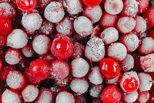 포토 JPG 해외이미지 열매 음식 다이어트 과일 재료 자연 디저트 건강 사람없음 빨간색 냉동 흰색 신선 체리 달콤 유기농 내추럴 고립 숙성 크랜베리 해외포토 식물 웰빙 컬러 맛 생태계 파일형식 이미지허브