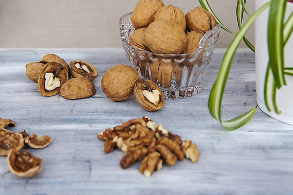 포토 JPG 해외이미지 화분 잎 단면 건조 사람없음 껍질 낟알 알맹이 나무바닥 호두 유리그릇 해외포토 식물 그릇 유리 바닥 견과류 파일형식 이미지허브