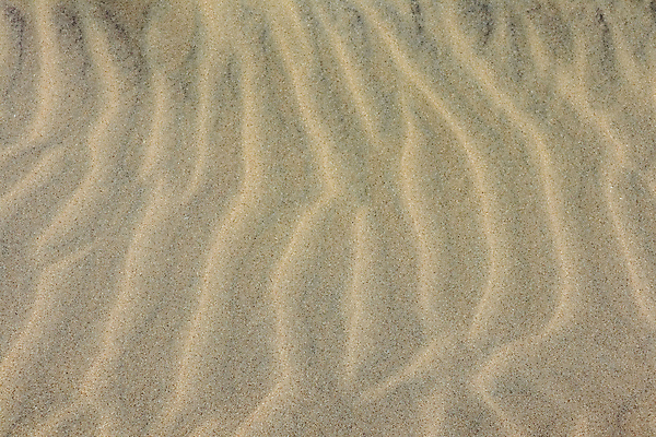 포토 JPG 해외이미지 디자인 모래 파도 바다 여행 백그라운드 패턴 자연 벽지 표면 추상 휴가 바닥 사람없음 가로 모래사장 갈색 사막 모래언덕 질감 웨이브 내추럴 해외포토 컬러 무늬 언덕 생태계 파일형식 이미지허브