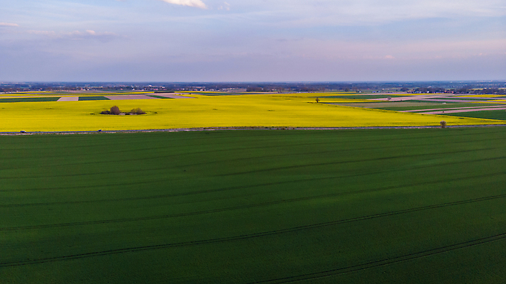포토 JPG 해외이미지 식물 응시 계절 유럽 밭 농업 자연 하늘 안테나 씨앗 사람없음 초록색 태양 농장 농경지 노란색 환경 일몰 수확 시골 땅 폴란드 드론 땅바닥 방법 밭일 브로츠와프 해외포토 자연요소 시선 나라 산업 컬러 통신 바닥 노을 생태계 파일형식 이미지허브