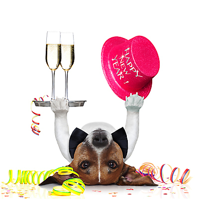포토 JPG 해외이미지 동물 기념일 행복 음료 크리스마스 겨울 유리 넥타이 휴가 새로움 서브 쟁반 선물 사람없음 반려동물 파티 요식업 축하 인사 잡기 칵테일 생일 유머 개 야간 샴페인 12월 테리어 연도 종업원 웨이터 서비스 건배 토스트 고립 해외포토 자연요소 직업 잡화 계절 감정 산업 빵 컨셉 포유류 모션 재질 주류 이벤트 예절 날짜 파일형식 이미지허브