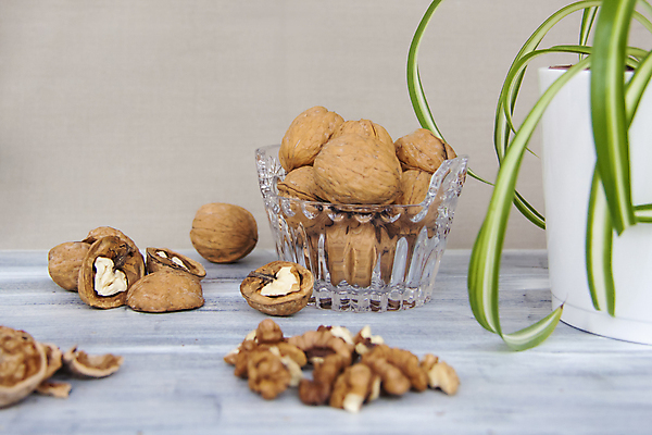 포토 JPG 해외이미지 화분 잎 단면 건조 사람없음 껍질 낟알 알맹이 나무바닥 호두 유리그릇 해외포토 식물 그릇 유리 바닥 견과류 파일형식 이미지허브