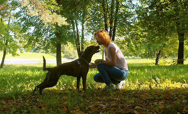 포토 JPG 해외이미지 동물 공원 여자 행복 자연 휴식 함께함 사랑 한명 사람 야외 초록색 친구 반려동물 귀여움 만지기 개 핥기 만족 주인 송곳니 내추럴 돌봄 복종 충실 타격 해외포토 1 공공시설 감정 컬러 컨셉 포유류 관계 모션 치아 생태계 파일형식 이미지허브