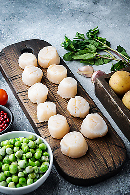 포토 JPG 해외이미지 회색배경 조개 실내 사람없음 일렬 가리비 관자 나무도마 해외포토 백그라운드 어패류 도마 내부 목재 회색 파일형식 이미지허브