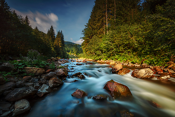 포토 JPG 해외이미지 나무 계절 유럽 야생동물 여행 자연 산 풍경 경사 사람없음 야외 초록색 물 여름 강 뷰티 환경 봄 흐름 바위 신선 소나무 개울 숲 속도 에코 장면 전나무 동유럽 내추럴 산악지대 민물 삼림지대 생태학 우크라이나 해외포토 자연요소 식물 동물 교육 나라 컬러 컨셉 돌_바위 생태계 파일형식 이미지허브