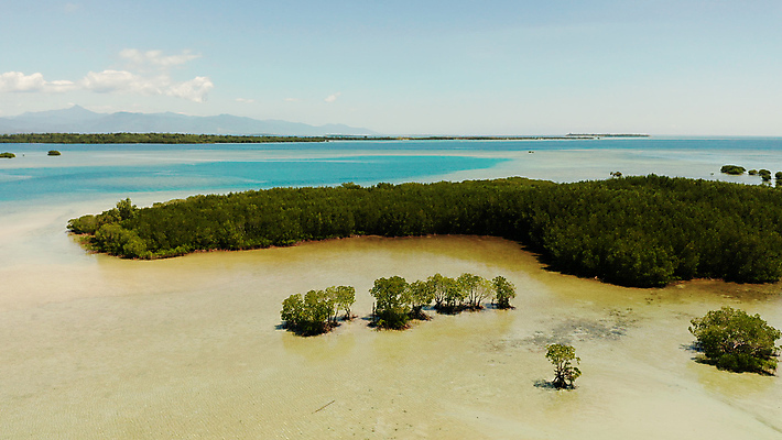 포토 JPG 해외이미지 나무 아시아 바다 섬 여행 백그라운드 자연 휴가 열대 풍경 사람없음 야외 물 여름 파란색 모래사장 환경 침묵 만 산호 숲 장면 암초 석호 조감도 파라다이스 해외포토 자연요소 식물 계절 나라 컬러 소리 자포동물 생태계 파일형식 이미지허브