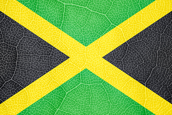 포토 JPG 해외이미지 나무 식물 선 백그라운드 잎 곡선 자연 바람 추상 세포 사람없음 가로 황혼 경쟁 자유 성장 깃발 액체 닫기 떨어짐 민주주의 대륙 질감 부드러움 시트 애국심 빛망울 강렬 광 독립 전국 정부 해외포토 자연요소 컨셉 무늬 모션 날씨 빛 일몰 감각 생태계 파일형식 이미지허브