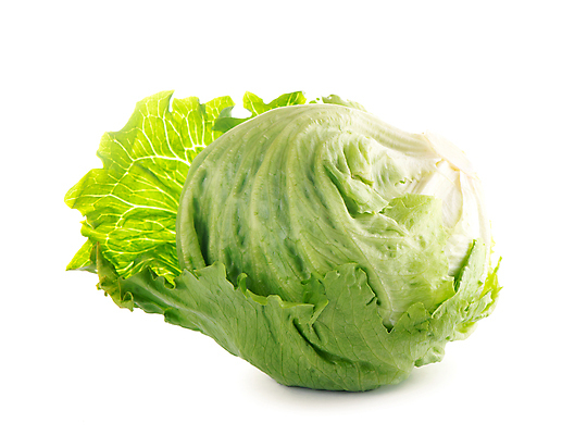 포토 JPG 해외이미지 잎 채소 사람없음 초록색 양배추 해외포토 식물 컬러 파일형식 이미지허브