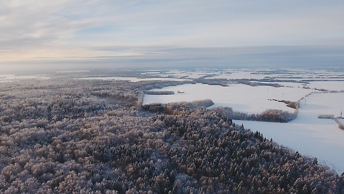 포토 JPG 해외이미지 나무 계절 겨울 밭 자연 하늘 날씨 풍경 사람없음 야외 목재 냉동 얼음 추위 흰색 시골 숲 시원함 항공 서리 조감도 눈내림 해외포토 자연요소 식물 컬러 농업 재료 눈_날씨 생태계 파일형식 이미지허브