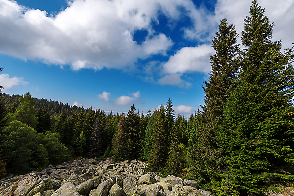 포토 JPG 해외이미지 나무 식물 계절 공원 도로 길 여행 백그라운드 잎 자연 휴가 산 파노라마 경사 사람없음 야외 목재 컬러풀 뷰티 여행객 귀여움 계곡 시골 숲 언덕 시력 10월 내추럴 산악지대 삼림지대 해외포토 공공시설 컬러 컨셉 재료 교통시설 촬영기법 사람 날짜 생태계 파일형식 이미지허브