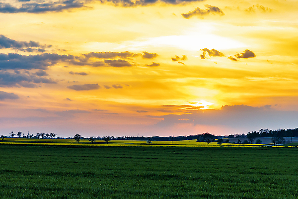 포토 JPG 해외이미지 식물 응시 계절 유럽 밭 농업 자연 하늘 씨앗 사람없음 초록색 파란색 빛 햇빛 태양 농장 농경지 노란색 환경 일몰 수확 시골 땅 폴란드 내추럴 땅바닥 방법 밭일 브로츠와프 수평선 해외포토 자연요소 시선 나라 산업 컬러 바닥 노을 생태계 파일형식 이미지허브