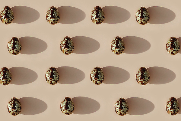 포토 JPG 해외이미지 백그라운드 패턴 그림자 사람없음 계란 패턴백그라운드 메추리알 베이지색 해외포토 컬러 무늬 알 파일형식 이미지허브