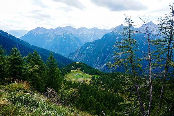 포토 JPG 해외이미지 식물 유럽 여행 자연 산 파노라마 풍경 사람없음 건물 계곡 바위 시골 보호 숲 스위스 언덕 알프스 장면 산악지대 해외포토 건축물 나라 컨셉 촬영기법 돌_바위 생태계 파일형식 이미지허브