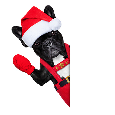 포토 JPG 해외이미지 동물 전통 배너 행복 포스터 종이 백그라운드 크리스마스 겨울 표면 날씨 휴가 새로움 프레임 선물 사람없음 장식 빨간색 반려동물 산타클로스 우주 놀람 공백 기쁨 방 흰색 축하 신용카드 유머 개 시원함 12월 연도 불독 프랑스어 양모 고립 노엘 클라우스 해외포토 문자 계절 기념일 감정 컬러 컨셉 포유류 표정 금융 직물 날짜 파일형식 이미지허브