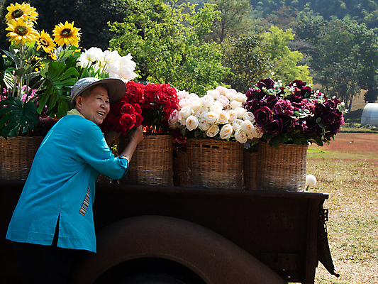 포토 JPG 해외이미지 식물 라이프스타일 공원 여자 꽃 행복 자동차 휴식 한명 동양인 야외 바구니 정원 은퇴 다발 등나무 옛날 해외포토 나무 1 공공시설 감정 육상교통 컨셉 사람 인종 생활 파일형식 이미지허브