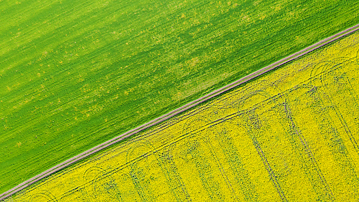 포토 JPG 해외이미지 나무 식물 유럽 백그라운드 밭 농업 자연 하늘 안테나 씨앗 사람없음 초록색 농작물 농장 노란색 봄 수확 시골 개화 정상 땅 시리얼 밀 유채 질감 땅바닥 바이오 방법 밭일 불가리아 해외포토 계절 꽃 나라 산업 음식 컬러 통신 곡류 바닥 생태계 파일형식 남유럽 이미지허브