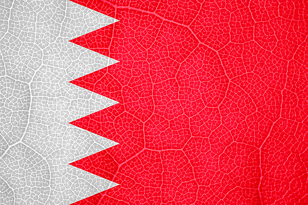 포토 JPG 해외이미지 나무 식물 선 백그라운드 잎 곡선 자연 바람 추상 세포 사람없음 가로 황혼 경쟁 자유 성장 깃발 액체 닫기 떨어짐 민주주의 대륙 질감 부드러움 시트 애국심 빛망울 강렬 광 독립 전국 정부 해외포토 자연요소 컨셉 무늬 모션 날씨 빛 일몰 감각 생태계 파일형식 이미지허브