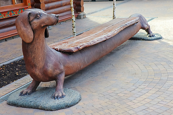 포토 JPG 해외이미지 동물 새끼 가구 백그라운드 벤치 의자 털 발렌타인데이 사람없음 목재 장식 빨간색 반려동물 장난감 정원 우정 흰색 하트 춤 아기 날짜 개 강아지 작음 자르기 테리어 호기심 안락의자 치와와 송곳니 고립 기르기 유래 차단 해외포토 모양 나무 감정 컬러 생활용품 컨셉 재료 포유류 모션 데이이벤트 문화예술 사람 친구 치아 크기 돌봄 파일형식 이미지허브