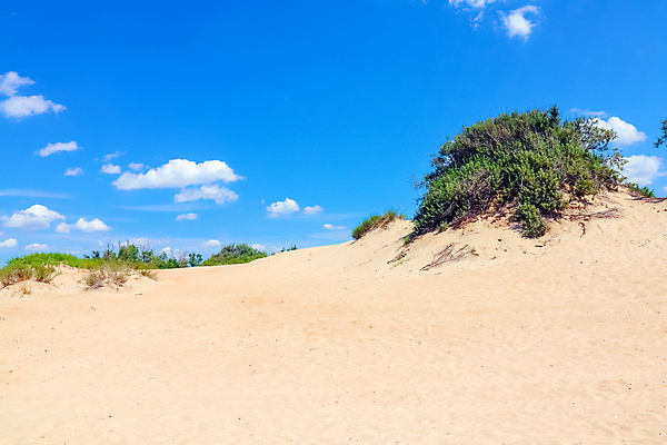 포토 JPG 해외이미지 모래 바다 자연 하늘 휴가 사람없음 야외 가로 물 파란색 컬러풀 태양 뷰티 노란색 맑음 모래언덕 사회이슈 수평선 해외포토 자연요소 컬러 컨셉 날씨 언덕 생태계 파일형식 이미지허브