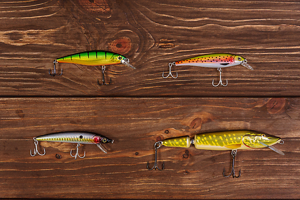 포토 JPG 해외이미지 스포츠 백그라운드 자연 낚시 실내 어류 취미 사람없음 목재 컬러풀 금속 숟가락 장비 흰색 공구 잡기 고리 황금 플러그 전기에너지 플라스틱 유혹 은퇴 오브젝트 날카로움 낚시꾼 기어 미끼 베이스 인공 해외포토 나무 컬러 컨셉 재료 모션 재질 현악기 레저 수저 내부 수중동물 에너지 도구 생태계 파일형식 이미지허브