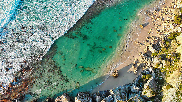 포토 JPG 해외이미지 구름 꽃 파도 바다 여행 자연 하늘 바람 휴가 파노라마 풍경 사람없음 야외 가로 물 여름 파란색 햇빛 태양 맑음 침묵 만 서핑 캥거루 터키석 수평선 해외포토 자연요소 식물 계절 컬러 포유류 날씨 촬영기법 소리 수상스포츠 보석 생태계 파일형식 이미지허브