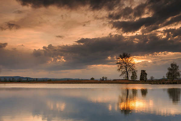 포토 JPG 해외이미지 나무 실루엣 유럽 호수 여행 오렌지 자연 하늘 아침 추상 휴식 사람없음 야외 빨간색 물 파란색 빛 강 햇빛 태양 뷰티 반사 노란색 일출 환경 침묵 황혼 일몰 새벽 야간 저녁 수평선 해외포토 주간 자연요소 식물 나라 컬러 컨셉 무늬 과일 촬영기법 노을 소리 생태계 파일형식 이미지허브