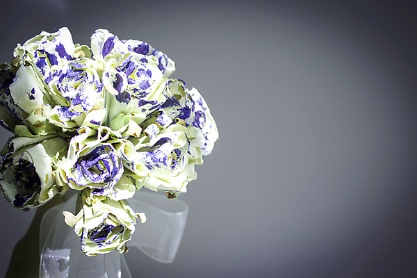 포토 JPG 해외이미지 디자인 꽃잎 꽃 종이 꽃다발 결혼 백그라운드 꽃무늬 자연 결혼식 선물 사랑 미술 사람없음 장식 파란색 뷰티 장미 벚꽃 흰색 축하 다발 약혼 인공 핸드메이드 해외포토 식물 감정 컬러 컨셉 무늬 문화예술 이벤트 생태계 약속 파일형식 이미지허브