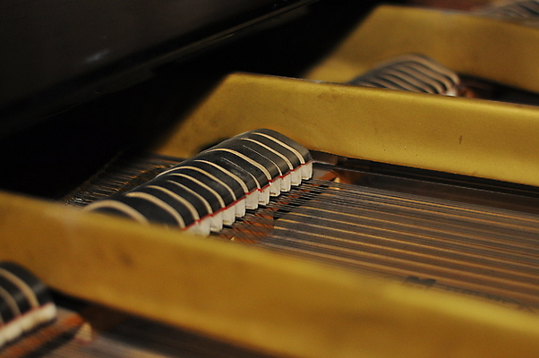 포토 JPG 해외이미지 디자인 선 줄 음악 백그라운드 컨셉 패턴 열쇠 실내 미술 사람없음 내부 목재 노란색 화목 기계 소리 콘서트 음악가 수확 기구 키보드 오픈 황금 클래식 망치 묘사 오브젝트 오디오 정비공 재즈 뮤지컬 옛날 조율 스타일 해외포토 나무 직업 컬러 무늬 농업 재료 문화예술 전자제품 공연 공구 기술자 파일형식 이미지허브