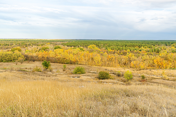포토 JPG 해외이미지 나무 식물 여행 백그라운드 자연 하늘 사람없음 초록색 파란색 빛 컬러풀 햇빛 태양 뷰티 일출 황혼 새벽 산책 안개 시골 황금 저녁 숲 오솔길 땅 천국 내추럴 방법 밭일 생태학 해외포토 자연요소 교육 길 컬러 날씨 휴식 노을 일몰 야간 생태계 파일형식 이미지허브