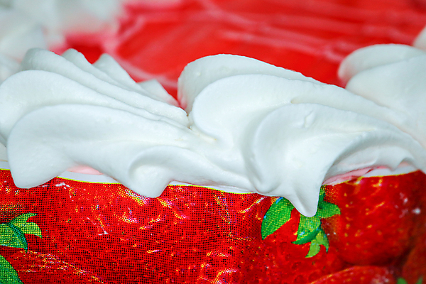 포토 JPG 해외이미지 음식 조각 백그라운드 패턴 디저트 사람없음 케이크 빵집 축하 맛 유혹 크림 질감 칼로리 내추럴 해외포토 컨셉 무늬 상점 파일형식 이미지허브