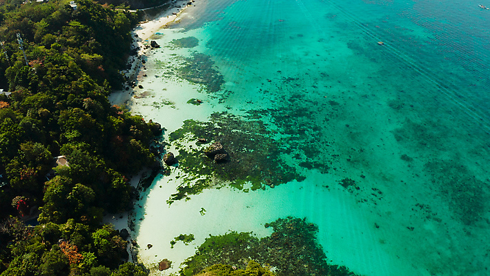 포토 JPG 해외이미지 아시아 모래 바다 섬 여행 휴가 휴식 항해 손바닥 풍경 해변 사람없음 야외 물 파란색 모래사장 태양 여행객 맑음 침묵 흰색 산호 휴양지 암초 보라카이 석호 이국적 조감도 터키석 파라다이스 해외포토 자연요소 손 나라 컬러 컨셉 배_교통 날씨 필리핀 사람 소리 장소 자포동물 보석 파일형식 이미지허브