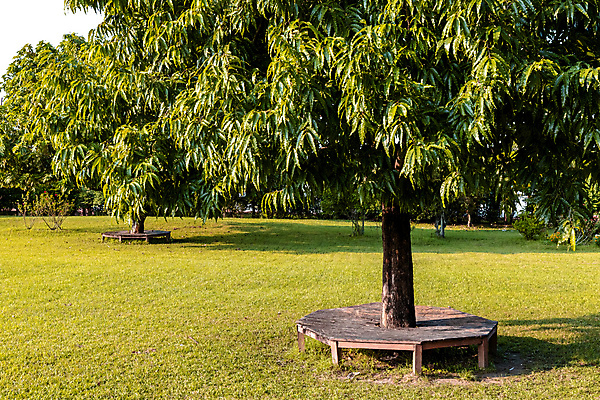 포토 JPG 해외이미지 나무 식물 디자인 외관 공원 꽃 가구 의자 건축양식 자연 주택 잔디 사람없음 야외 건물 빨간색 초록색 울타리 문 정원 희망 봄 화려 재산 강의 갑판 관목 원예 조경 지역 네팔 내추럴 대여 뒤뜰 해외포토 건축물 계절 공공시설 건축 감정 아시아 컬러 생활용품 컨셉 배_교통 취미 금융 담장 생태계 파일형식 이미지허브